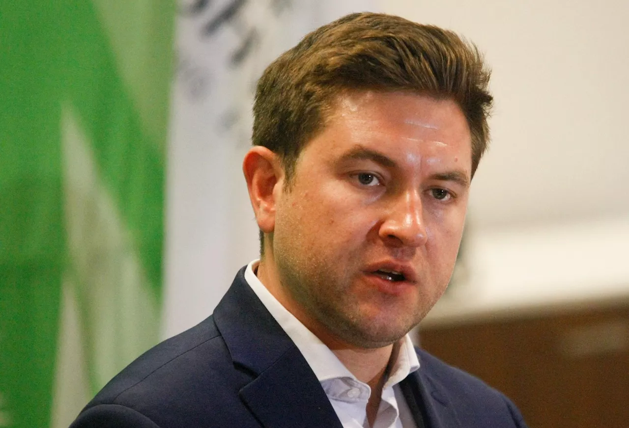 Why DA appoints independent civil servants like Mettler, and why ANC wants him removed?
