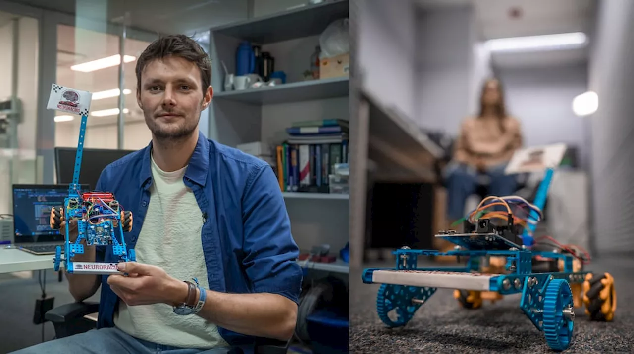 Mover un auto con la mente ya es posible y se hizo en la Argentina: cómo funciona esta tecnología