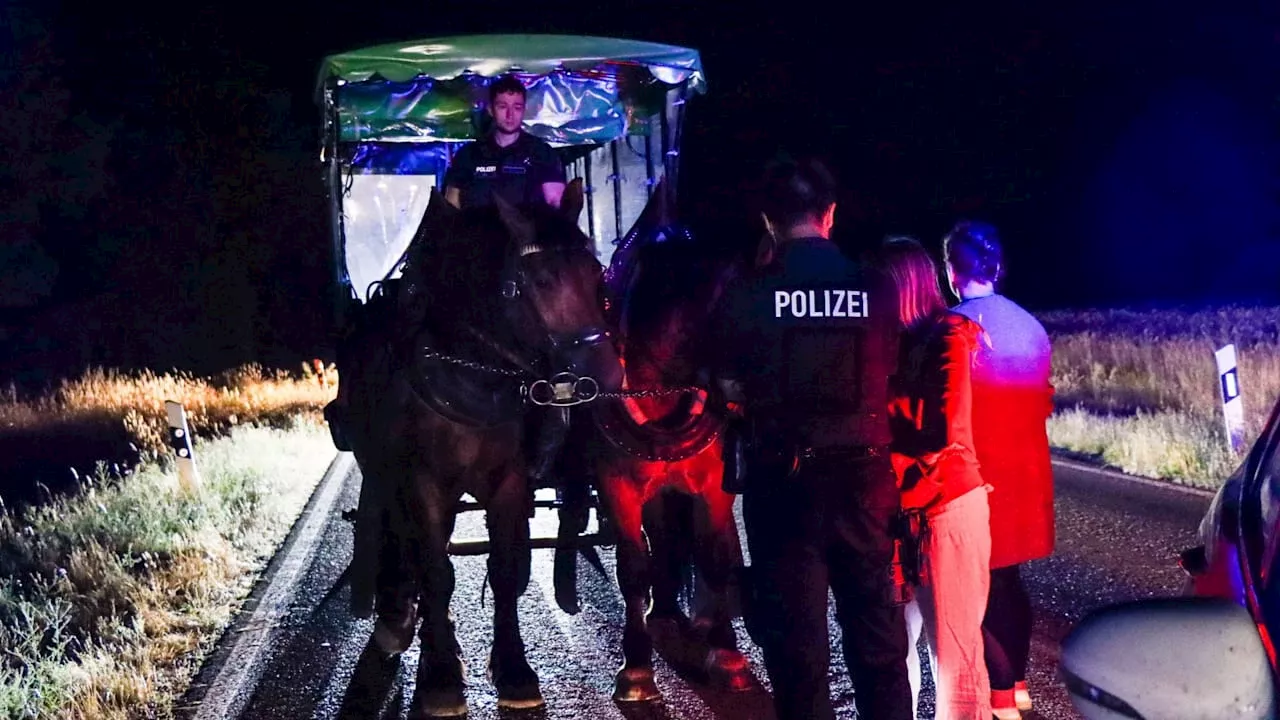 Suff-Fahrt: Polizei stoppt Pferdekutsche auf der Landstraße