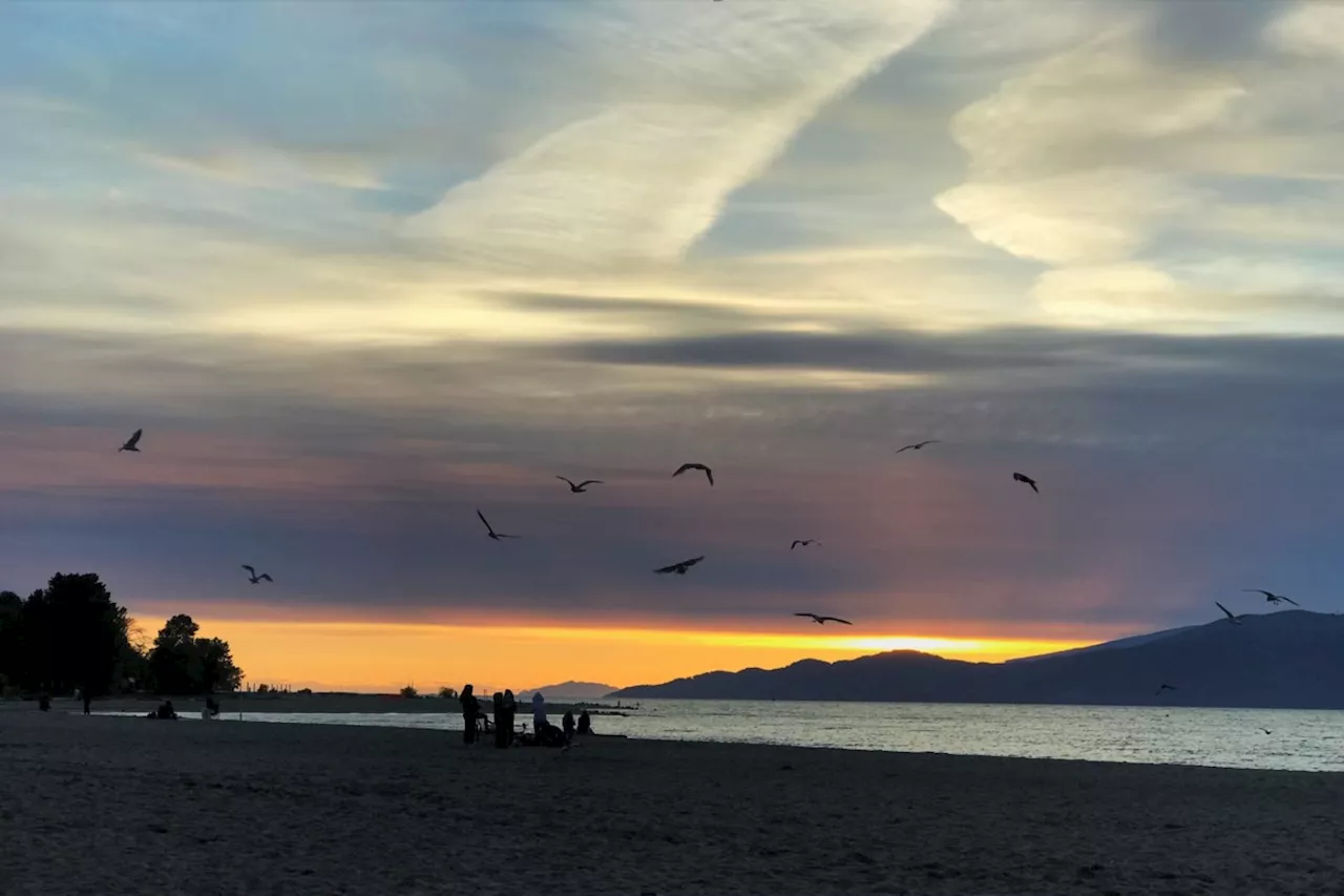 'An umbrella would be handy': Midweek showers sandwiched by sunny days in Metro Vancouver forecast