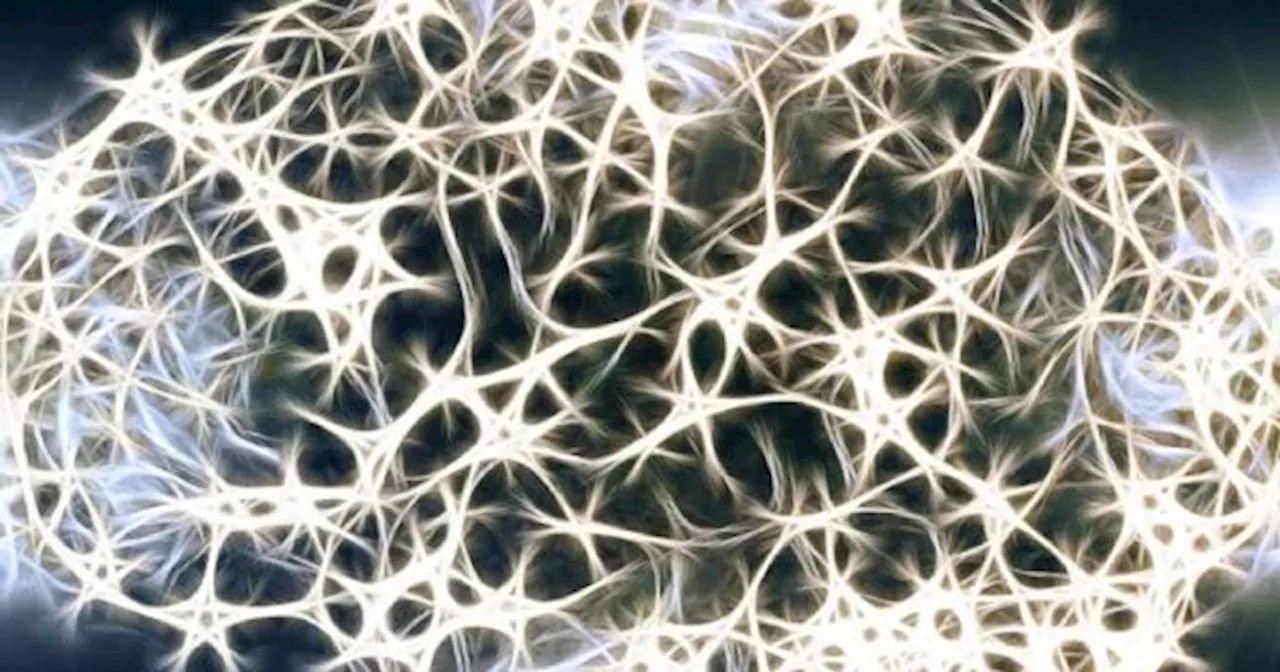  Encontraron un fármaco que podría cambiar la cirugía cerebral para siempre
