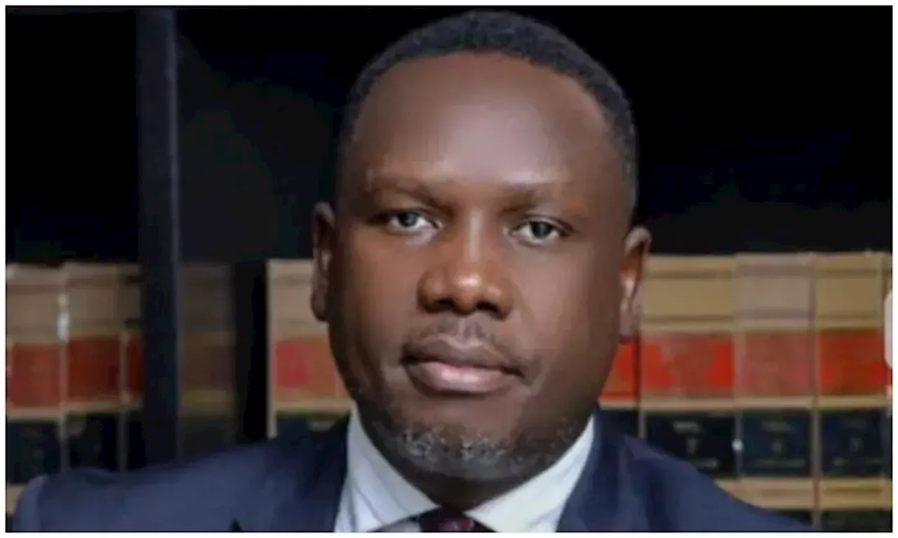 ADC: Peter Obi has conceded presidential ambition to Atiku Abubakar