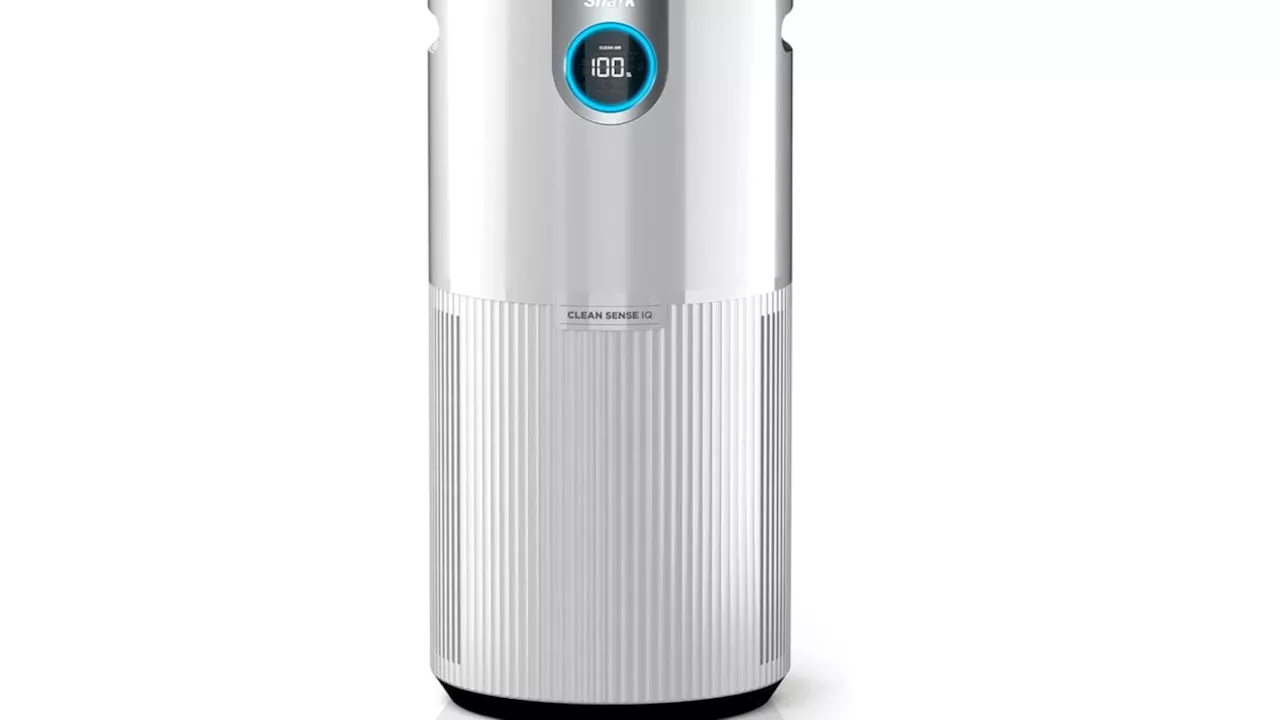 Breathe Easy This Summer with the Shark Air Purifier: An Unbelievable Deal You Can't Miss
