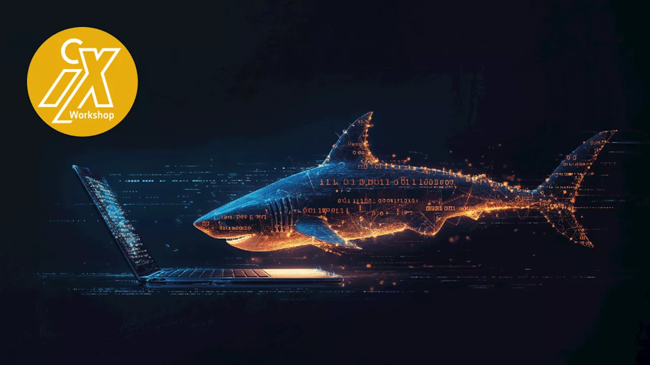 iX-Workshop: Wireshark Deep Dive – Netzwerkprobleme gezielt lösen