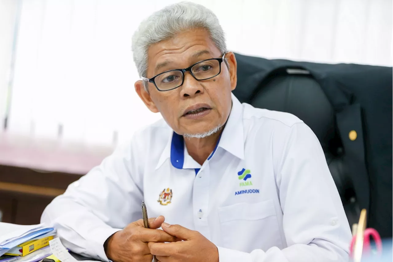 How much onions do Malaysians eat and why is it biting into our national coffers?