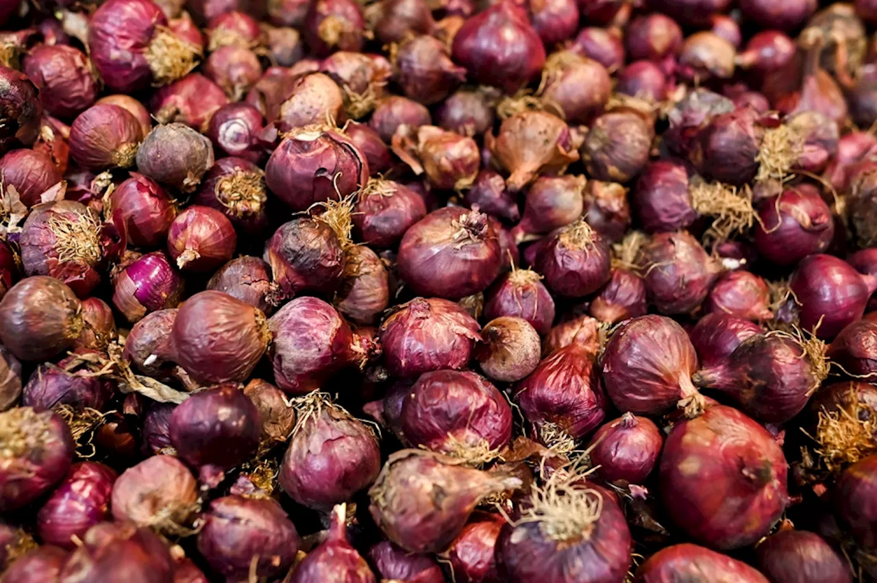 Malaysia rooting for 30pc locally grown shallots by 2030 — but here’s why it’s a tough row to hoe