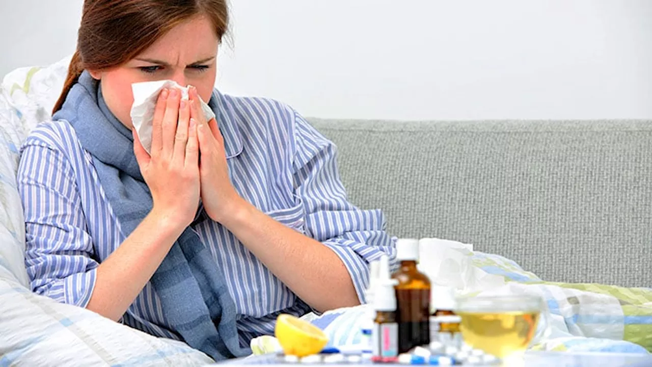 Common Cold Virus Infections Drop After SARS-CoV-2 Exposure