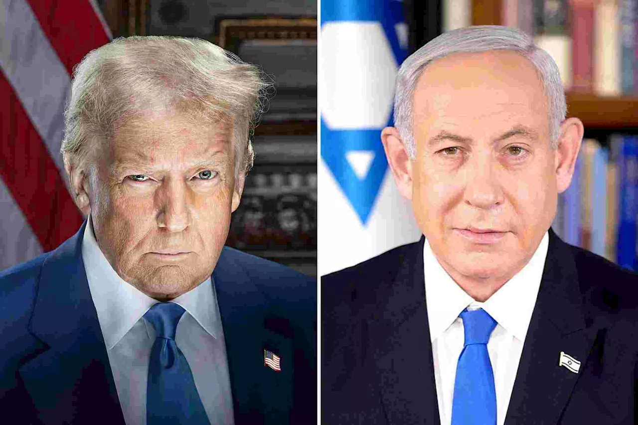 Trump hosts Netanyahu in push for end to devastating Gaza war