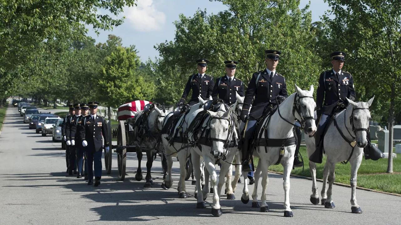 Army to end most ceremonial horse programs and adopt out the animals