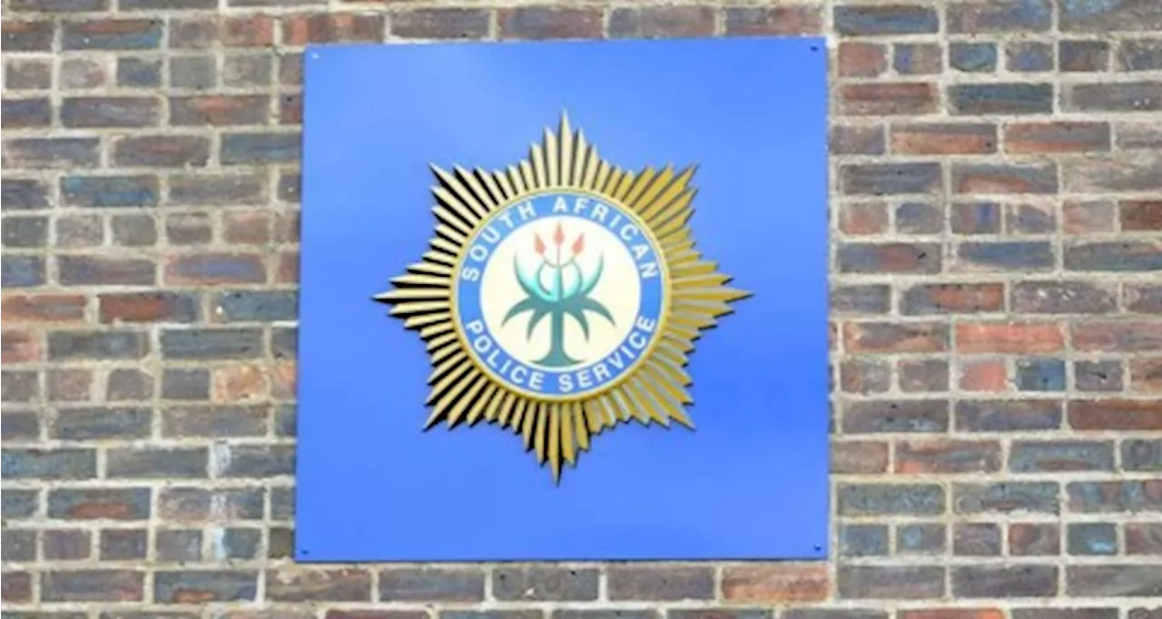 SAPS chiefs clash over task team, alleged interference