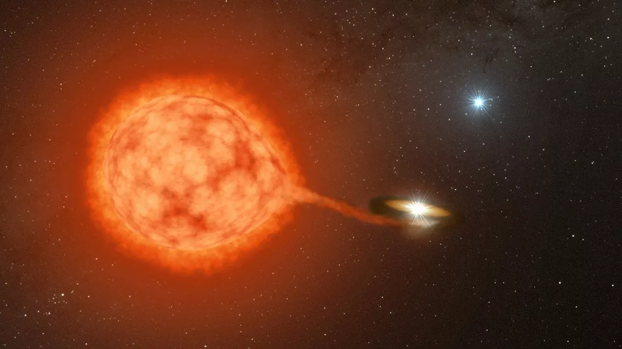 ‘Third wheel’ or matchmaker? Distant star may help forge explosive white dwarf duos
