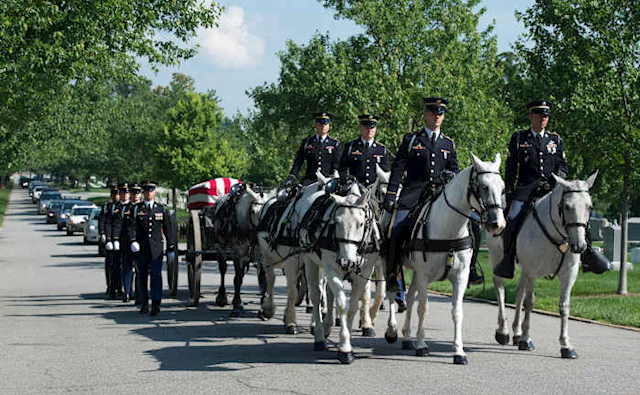Army will end most of its ceremonial horse programs and adopt out the animals
