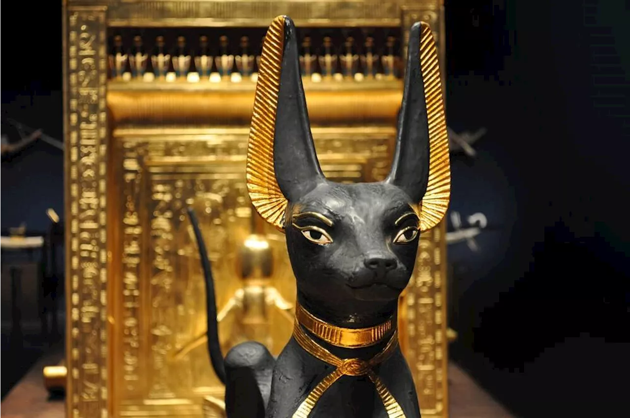 Anubis guards gates against hordes of LLM bot crawlers