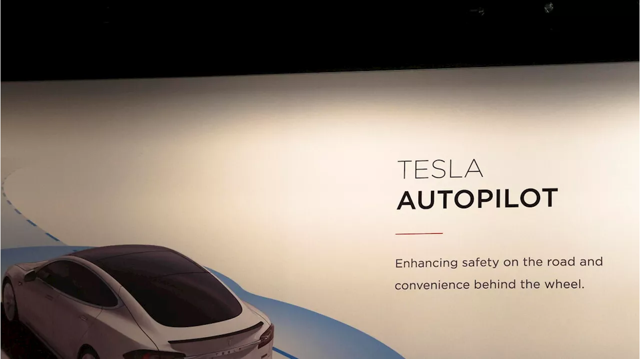 'Morte causata da Autopilot', Tesla deve pagare 242 milioni