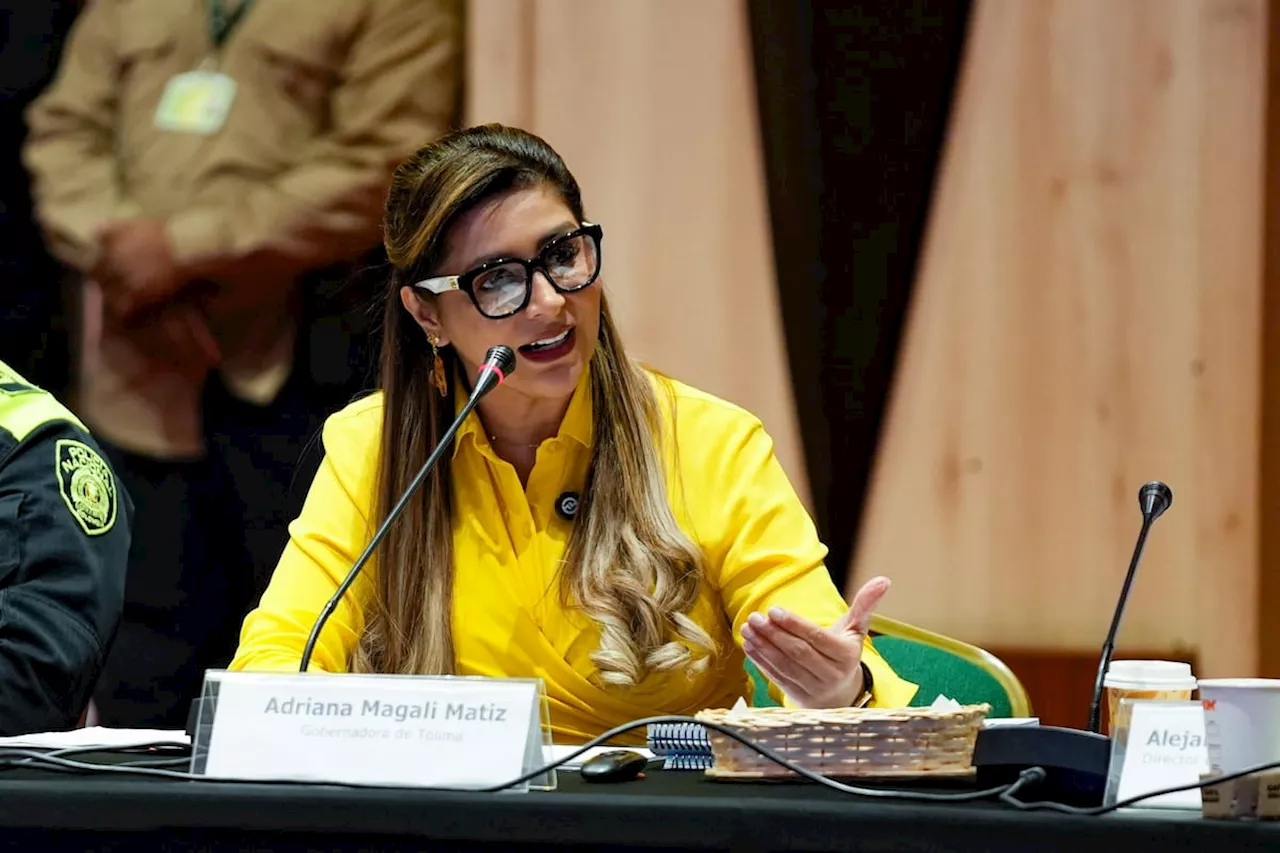 “Debilitar las finanzas y usar tecnología, clave para combatir a los grupos”: gobernadora del Tolima