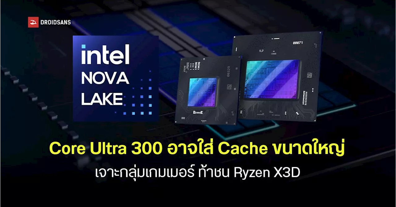 Intel ซุ่มพัฒนา Nova Lake Core Ultra 300 ซีพียูใหม่แคชใหญ่ 180MB ท้าชน Ryzen X3D เน้นเจาะกลุ่มคนเล่นเกม