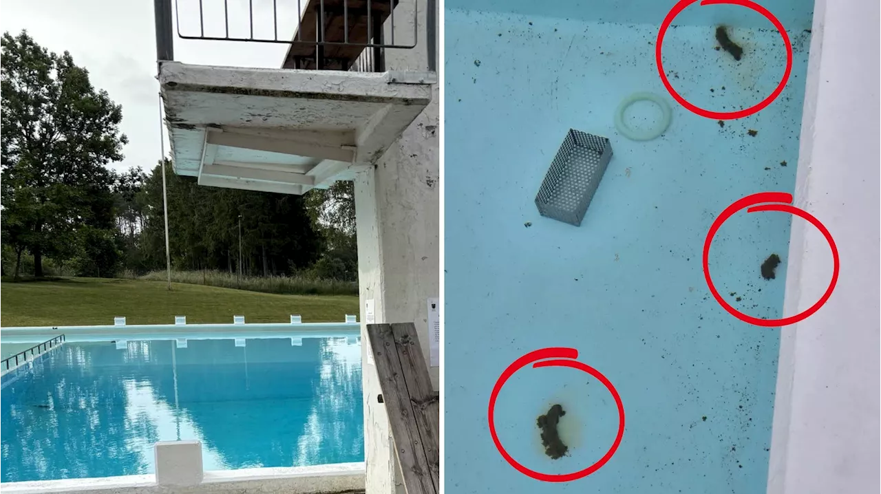Bajskaos på friluftsbad – bassängen använd som toa