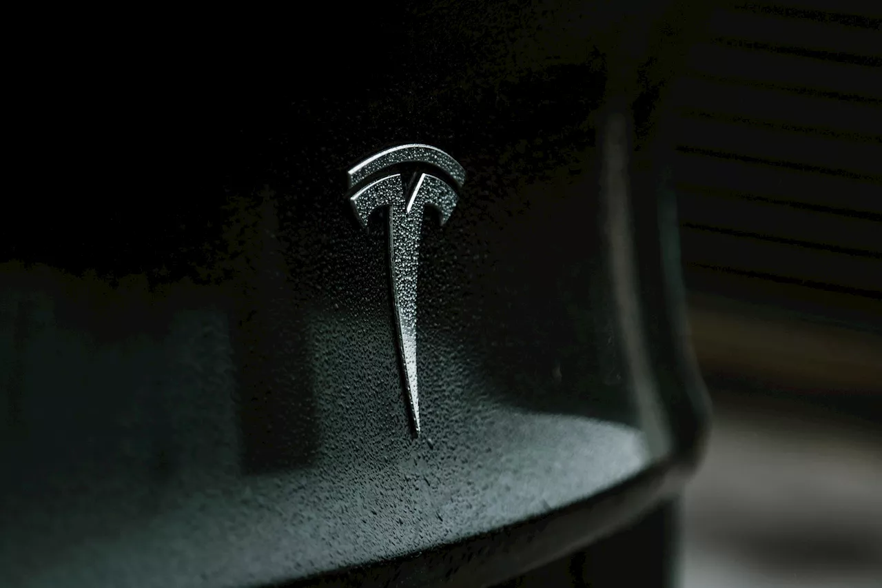 Tesla rasade med över 85 procent. Sämsta månaden på åratal.