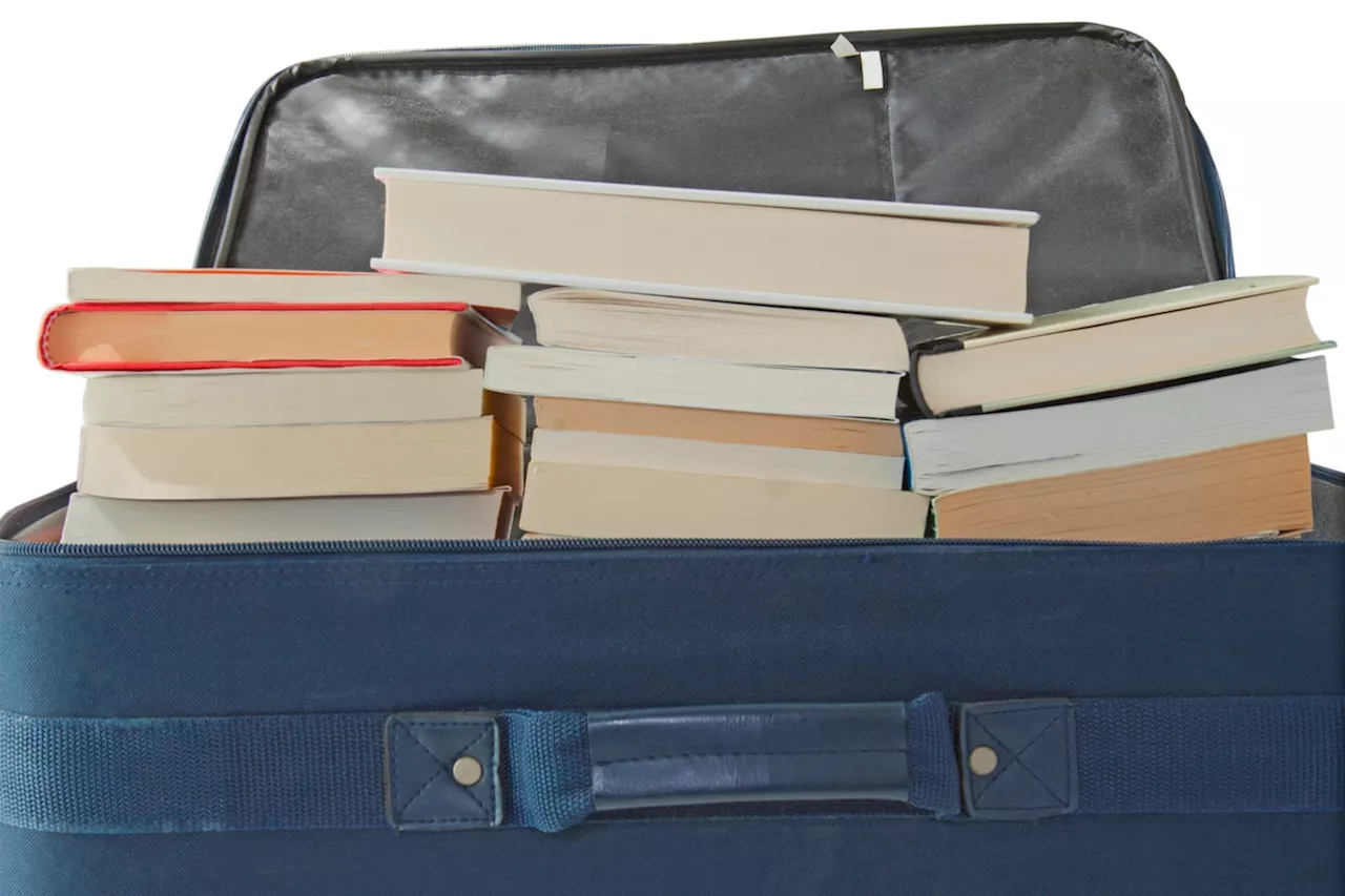 Choosing the right book for the dog days of summer