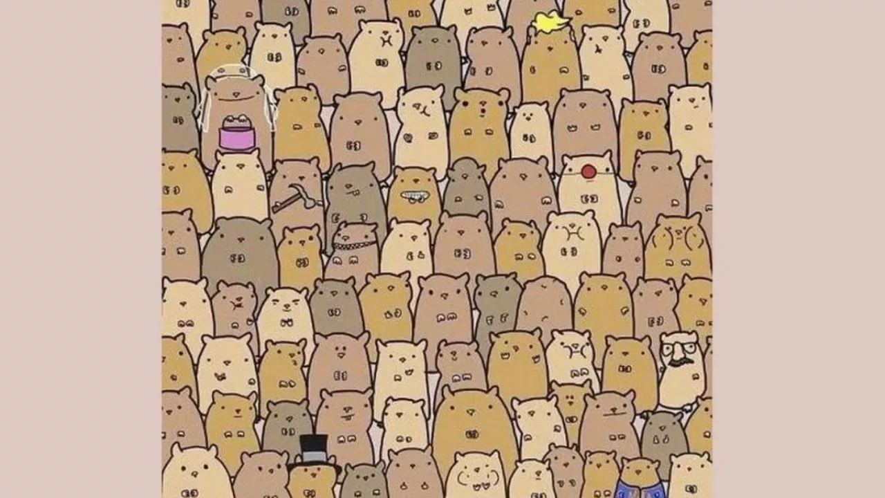 Acertijo visual: encuentra la patata escondida en la imagen en solo 5 segundos