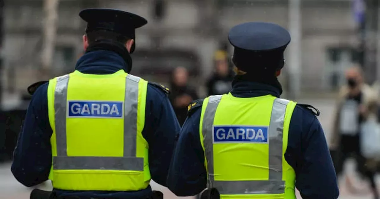'Crime in Ireland is out of control and it's time we talked about arming gardai'