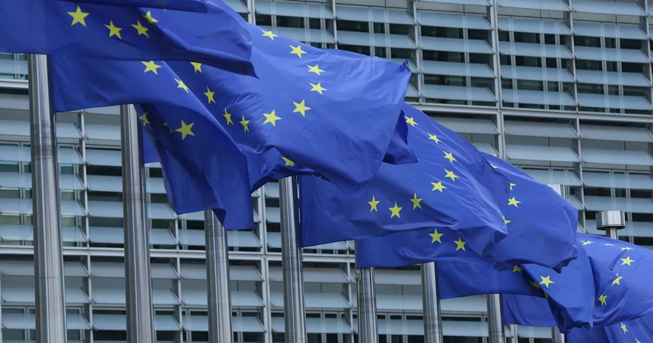 Ireland fined €1.54m for delay in writing EU work-life balance directive into law