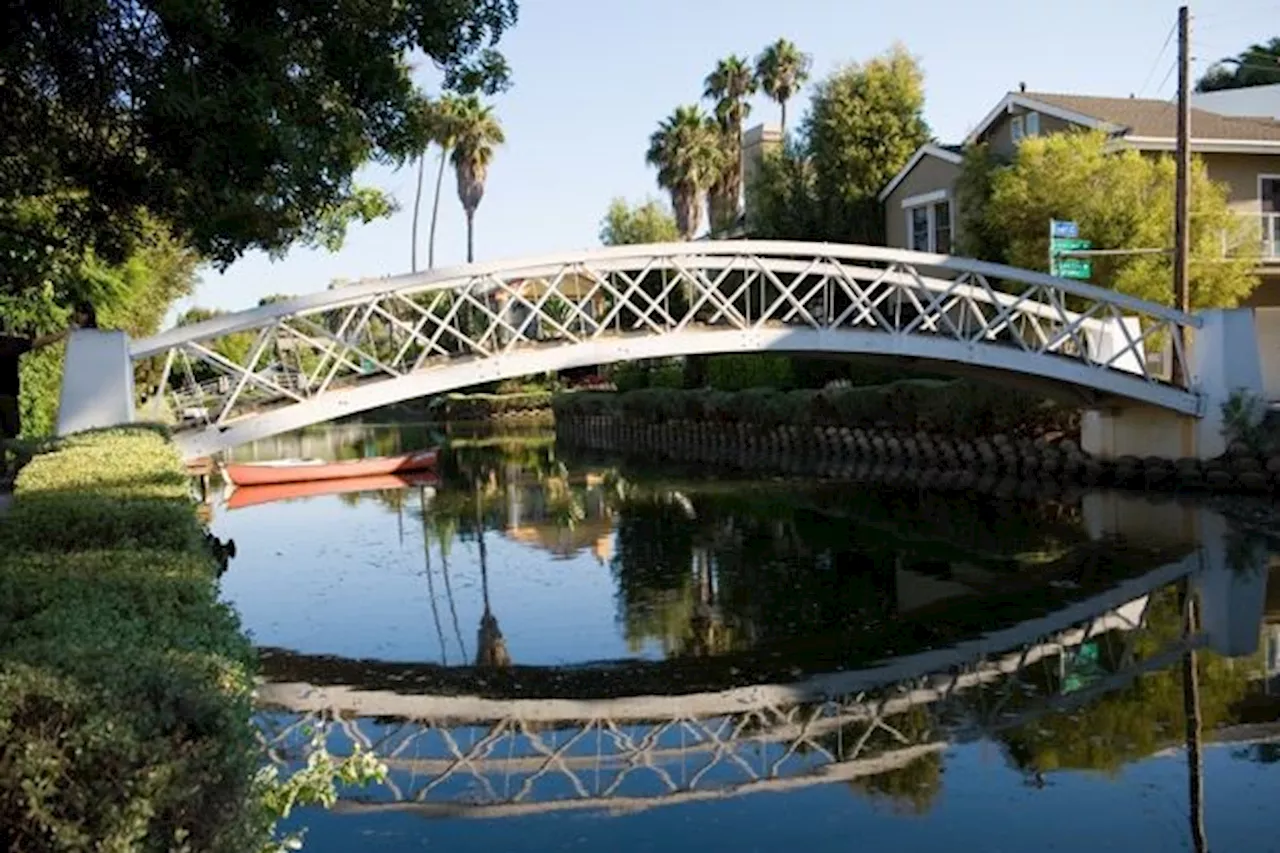 Another dog dies after taking a walk along Venice Canals