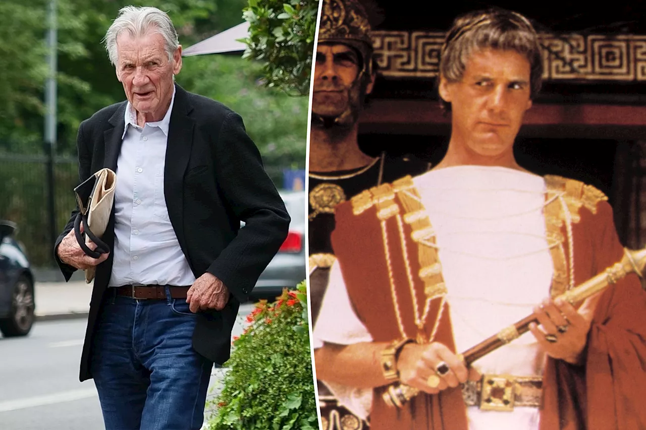 'Monty Python' star Michael Palin, 82, details his will plans after losing wife: 'I do think about death'
