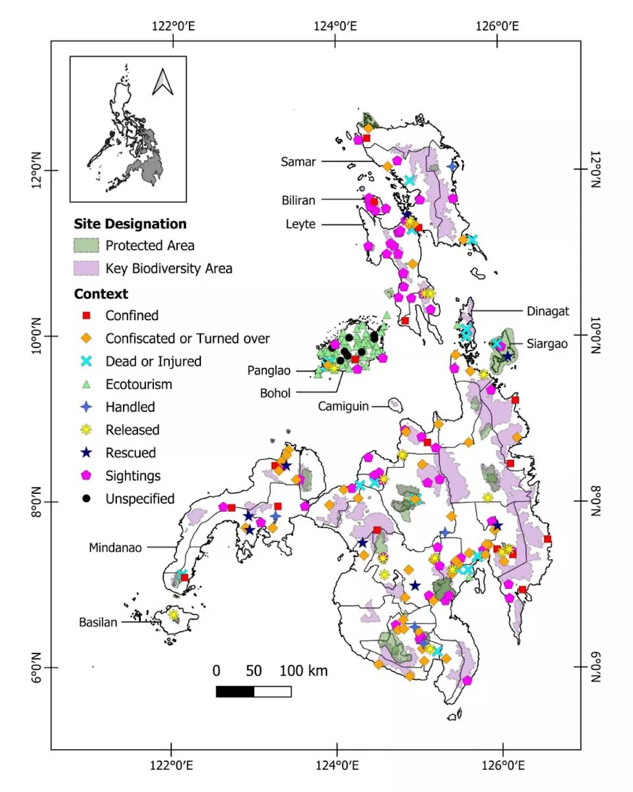 UP study finds social media a valuable tool for understanding Philippine Tarsiers