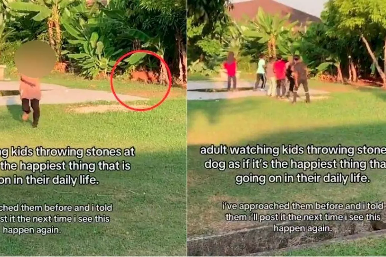 Viral video of kids abusing dog sparks outrage and calls for action