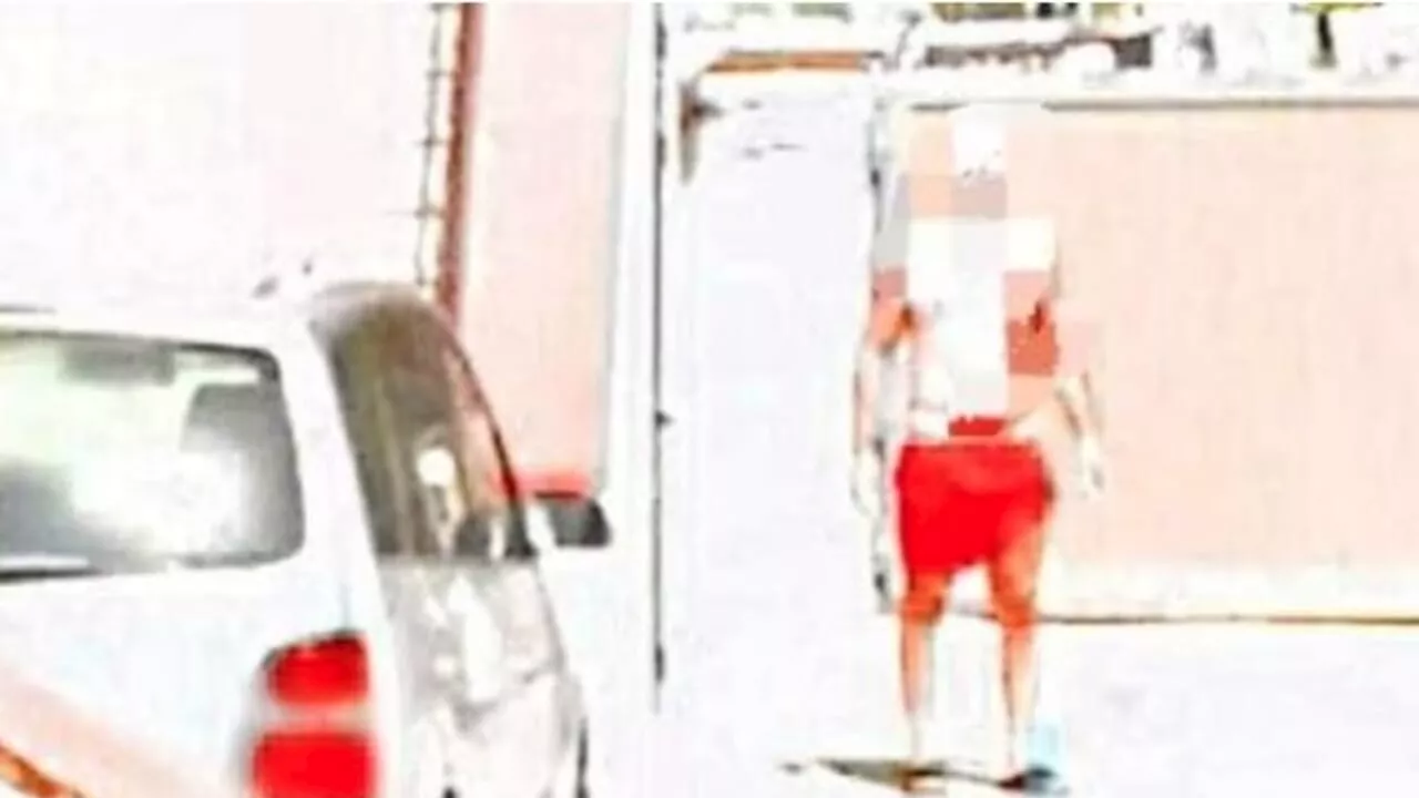 Si fa la doccia in giardino e finisce su Google Street View: 'Ho provato imbarazzo e vergogna, ora chiedo 80mila euro'