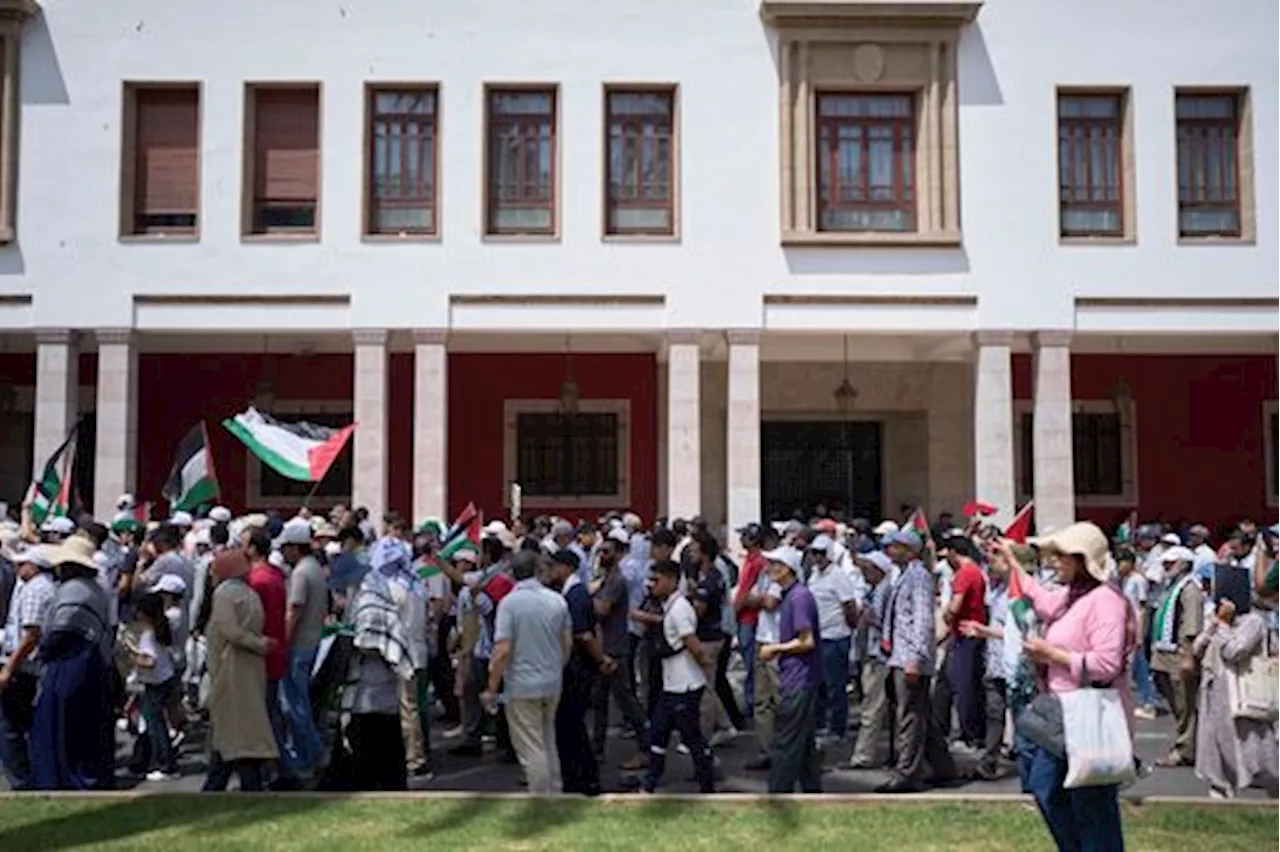 للأسبوع السابع والثمانين.. وقفات احتجاجية في المغرب تضامناً مع غزة ورفضاً لسياسة التجويع