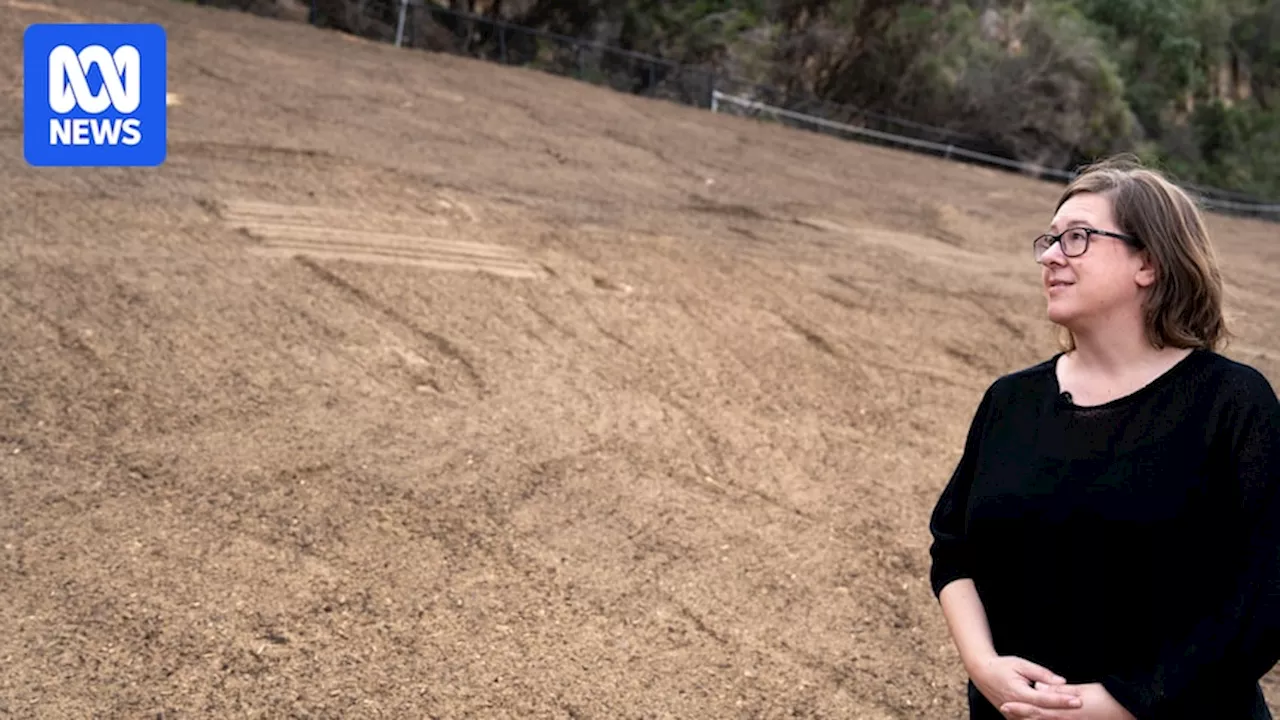 Removal of trees infested with shot-hole borer in Kings Park has surprising outcomes