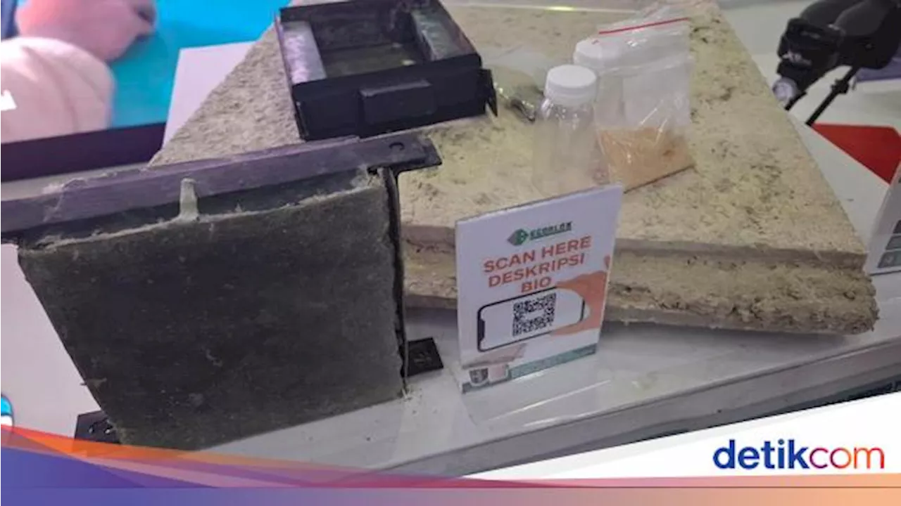 Inovatif! Dosen UNG Sulap Popok Bekas Jadi Panel Dinding Ramah Energi
