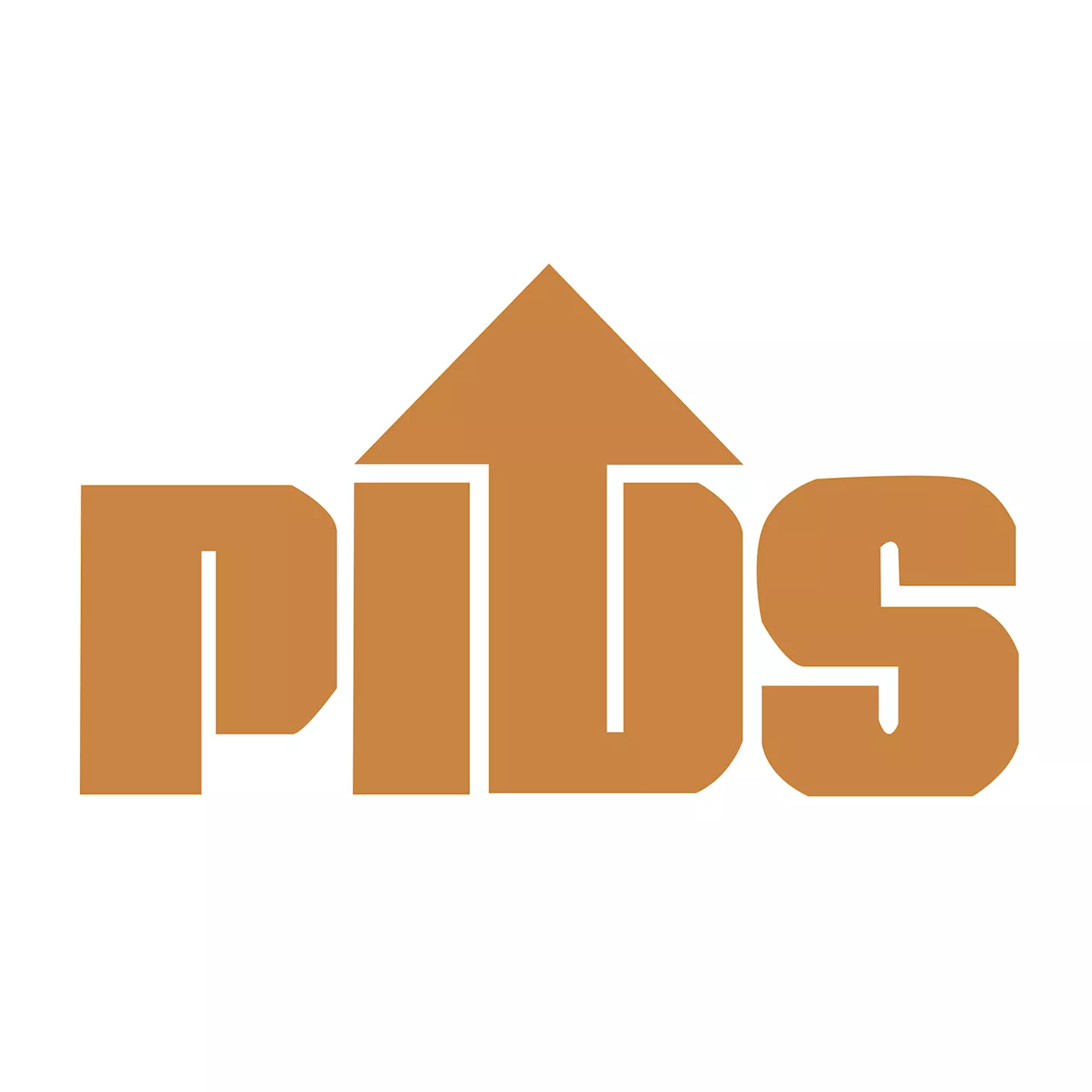 PH gets worse US tariff deal than neighbors—PIDS paper