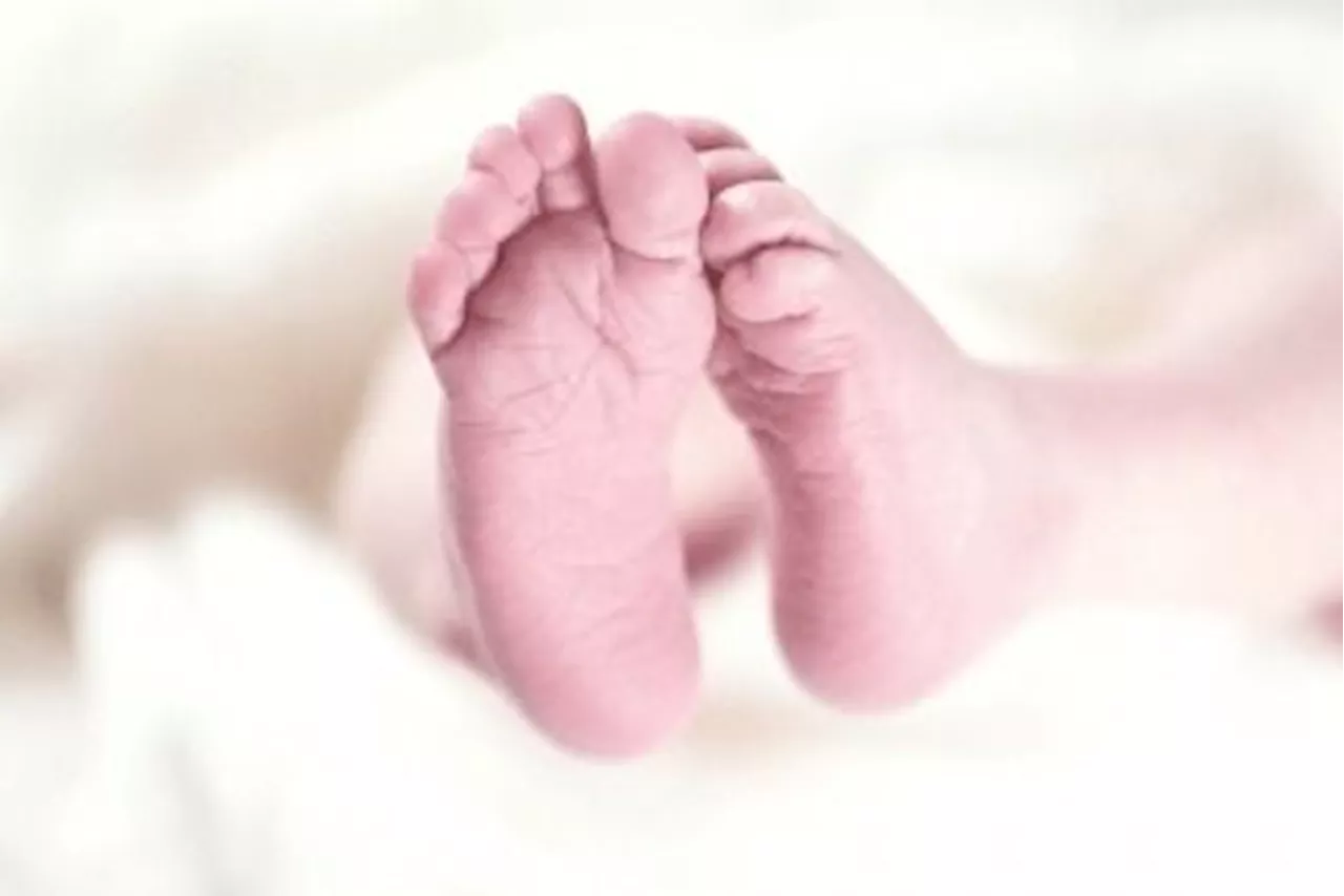 Toddler dies, allegedly abused by father, stepmother