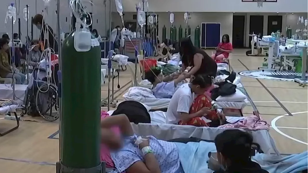 Over 2,300 leptospirosis cases logged from June 8 to Aug. 7