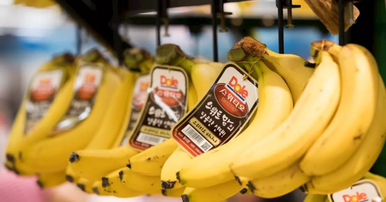 Dole’s first half profits drop nearly 60% despite ‘strong’ second quarter