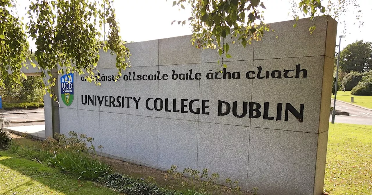 Student accommodation: UCD has the most expensive campus room at €11,888