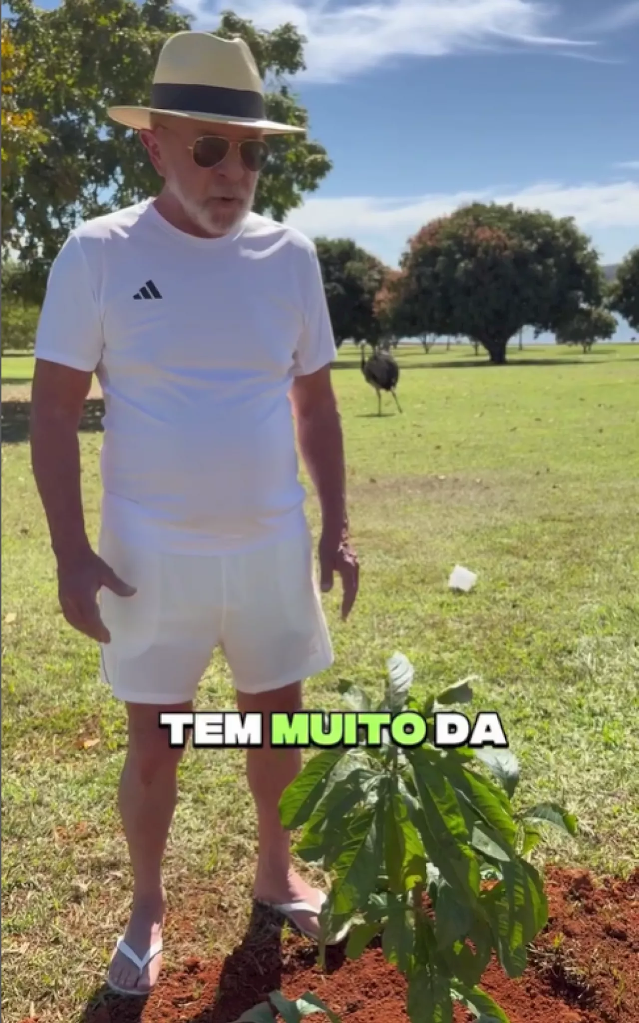 Lula planta baobá no Alvorada e diz que árvore é para que futuros presidentes 'tenham juízo'
