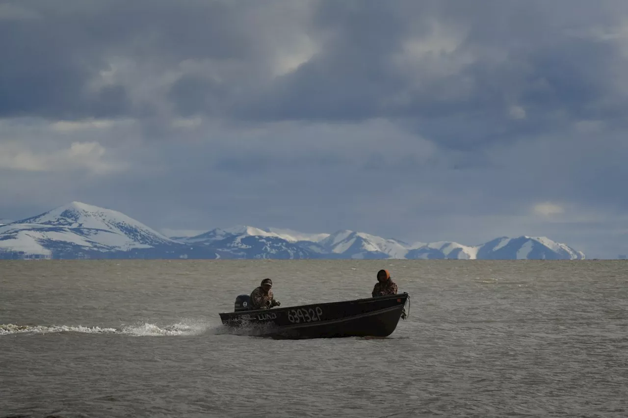 Europe pushing for Ukraine role in Alaska meet
