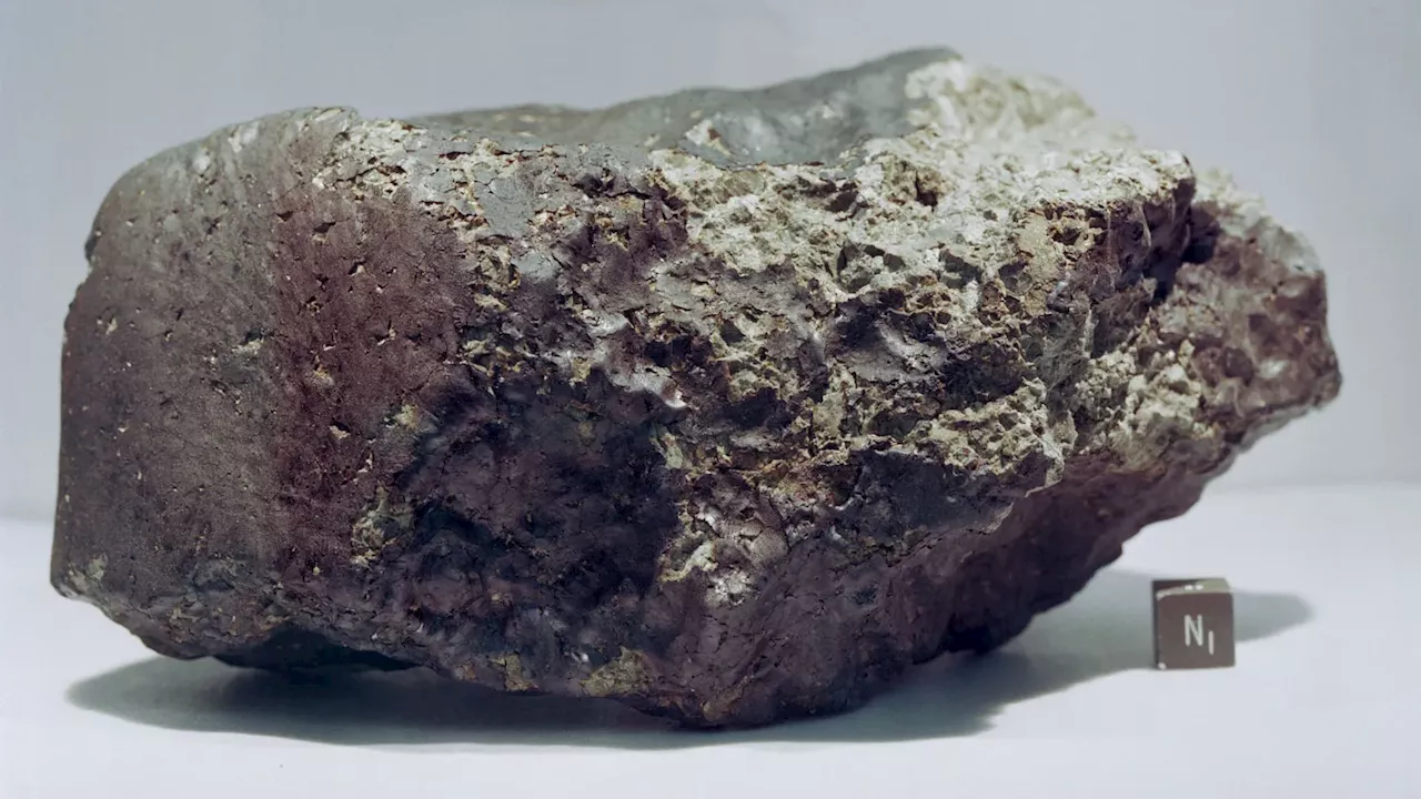 Mars meteorite found in Niger, controversially sold in US