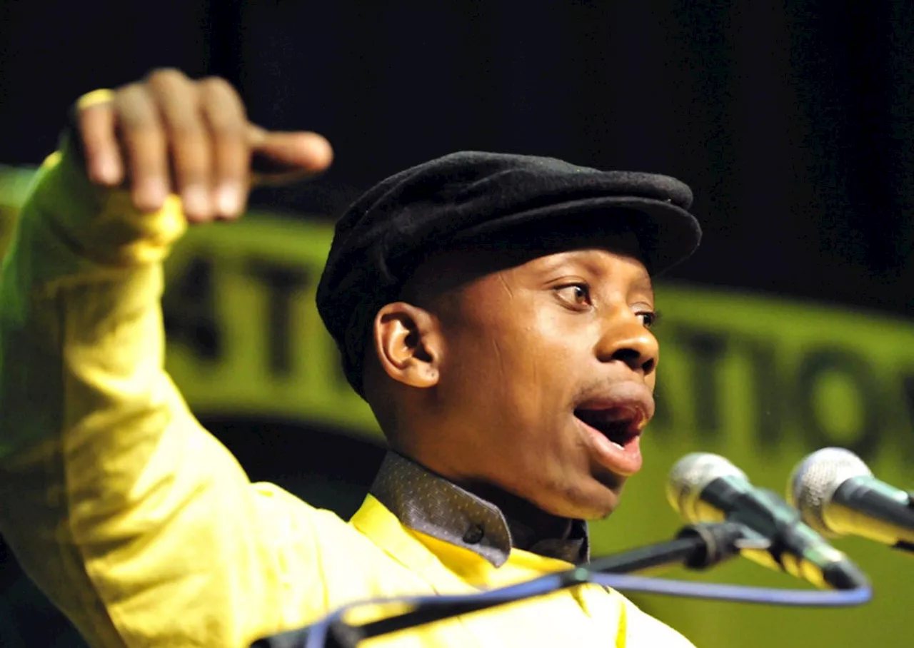 Disband the NEC now, Lungisa tells the ANC