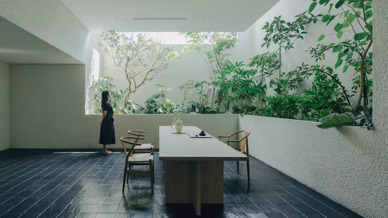 Atelier About Architecture’s ‘house within a house, and garden within a garden’