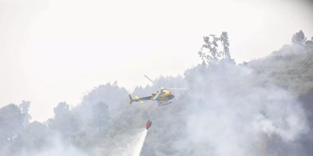 Detenido un trabajador de extinción de incendios por causar un fuego que arrasó más de 2.000 hectáreas en Á...