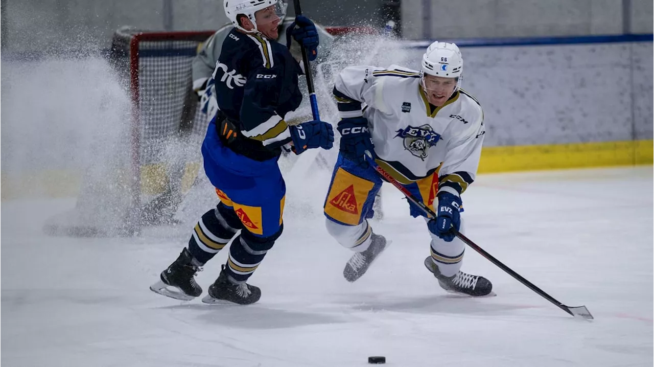 Mini-Spengler-Cup mit Spitzen-Teams