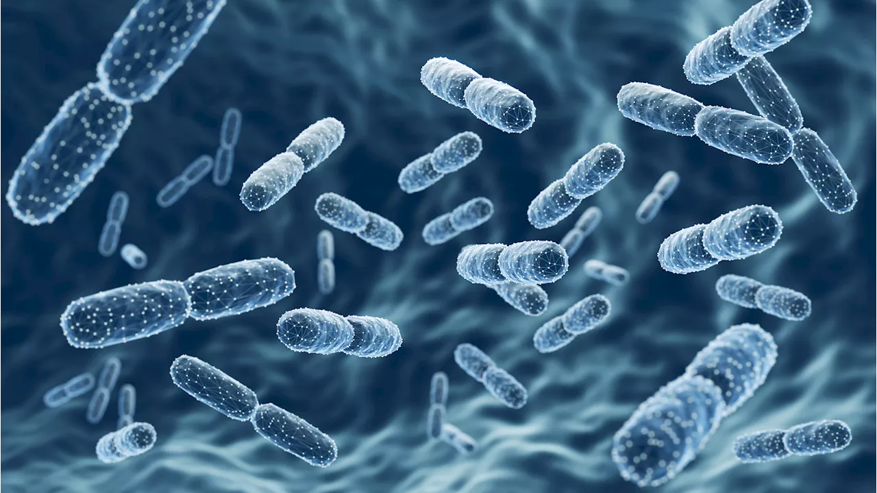 Common Food Bacteria 'Could Transform Nutrition and Medicine'