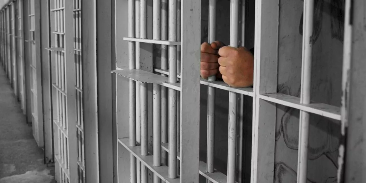 Nigerian Correctional Service confirms escape of 16 inmates, gives details