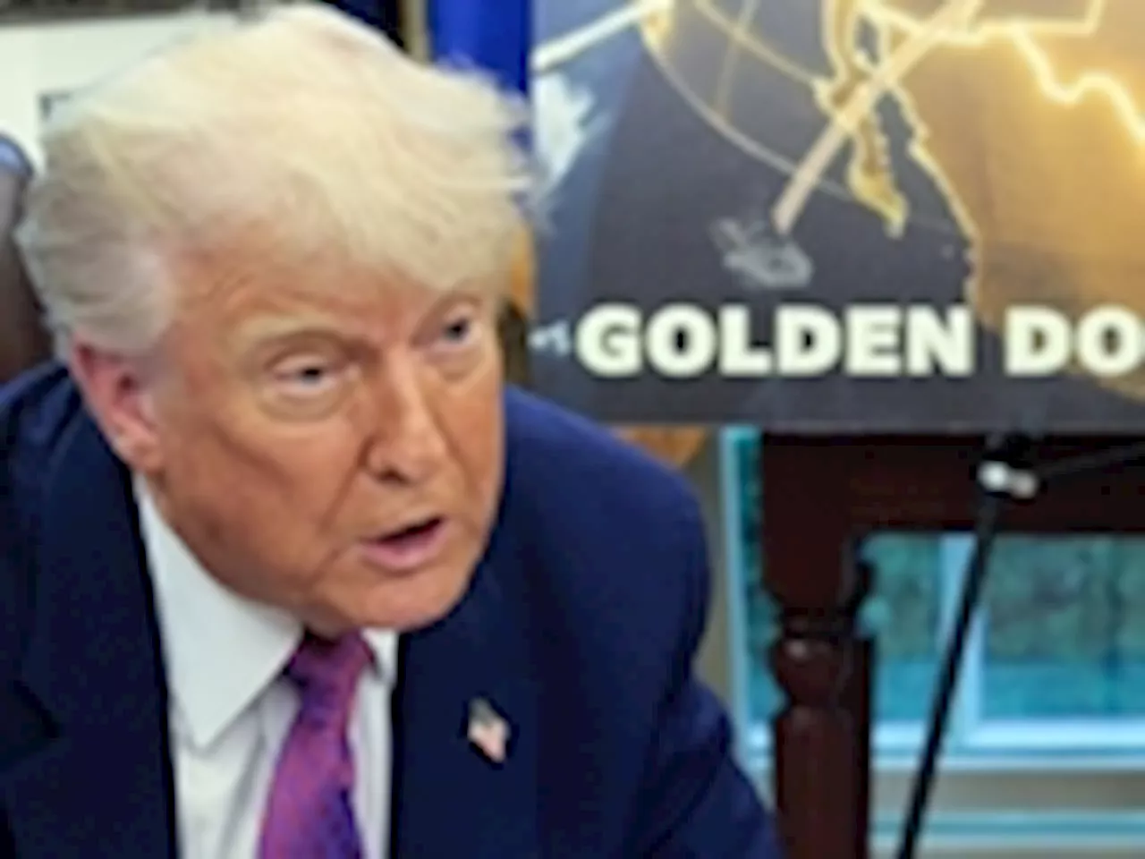 YOU SAID IT: Golden Dome sheep