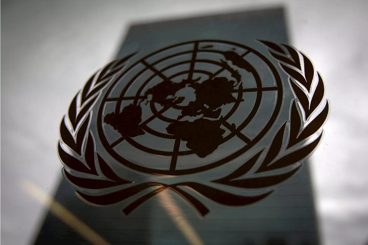 Myanmar security forces involved in systematic torture, UN report says